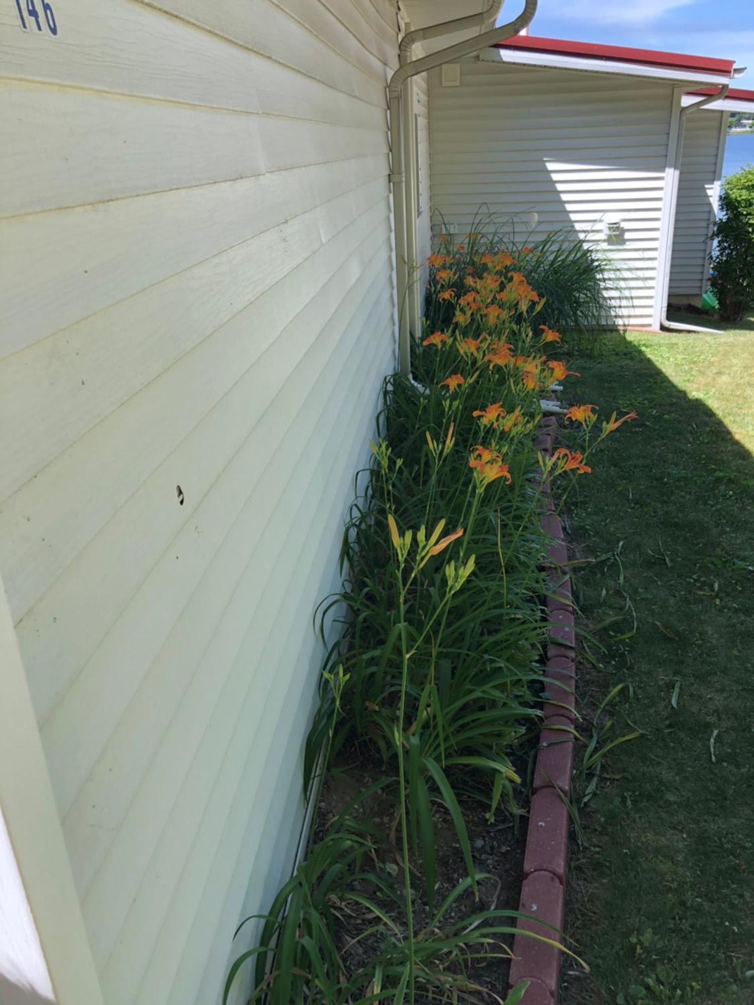 The Wellington Lake Cottage Middlebury Exteriör bild